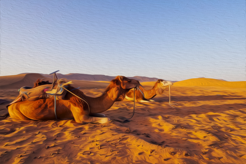 MARRAKECH-DESERT-TOURS