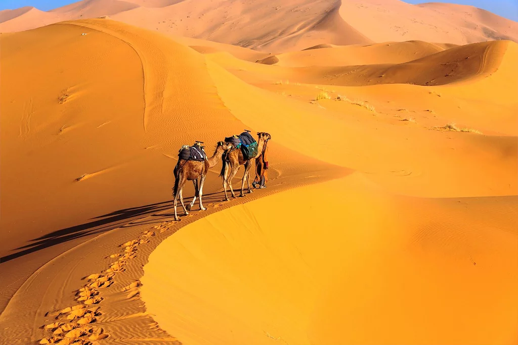 4-Day Desert tour from Marrakech to Merzouga